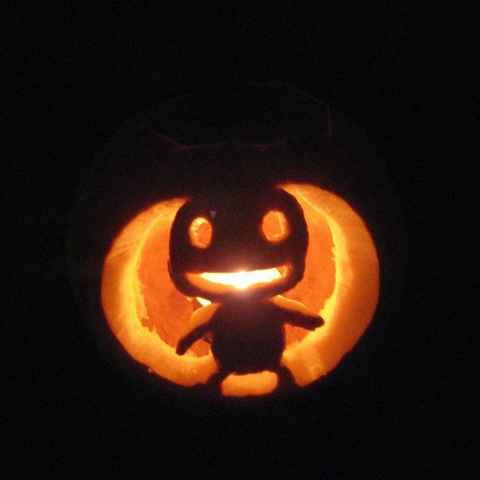 1385964_959820604859_365829800_n