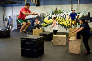 19947051072_b1146ae16a_k