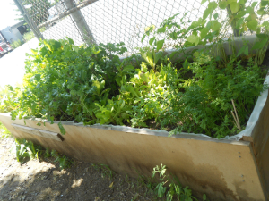 png;base64bbe3f713cc15f071