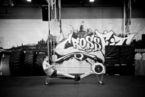 26696728430_884631f31f_k